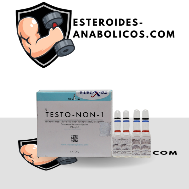 Testo-Non-1