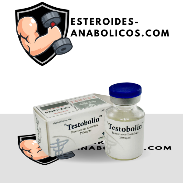 Testobolin (frasca)