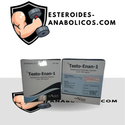 Testo-Enan amp
